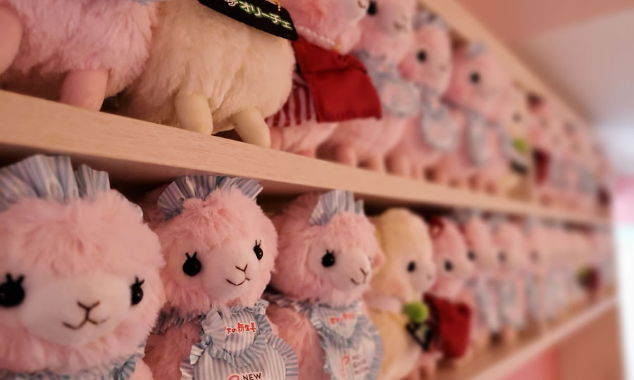 コンセプトルーム